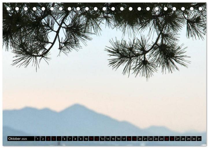Actual product image Japan - Details (Tischkalender 2025 DIN A5 quer), Monatskalender (A5, German)