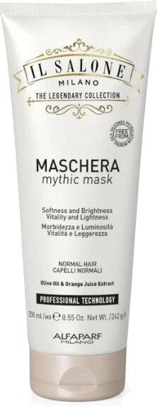 Actual product image Il Salone Milano Professional Mythic Mask for Normal Hair (250 ml)