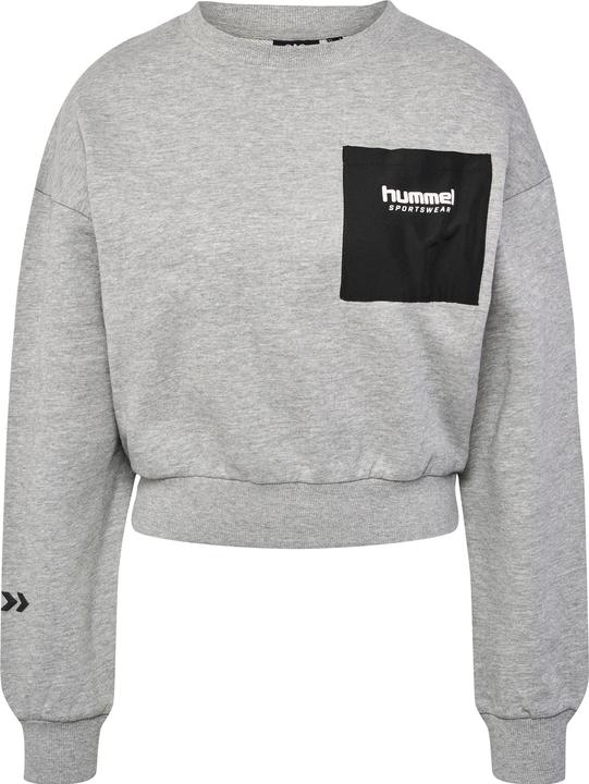 Actual product image hummel Hmllgc Dacia Sweatshirt (S)