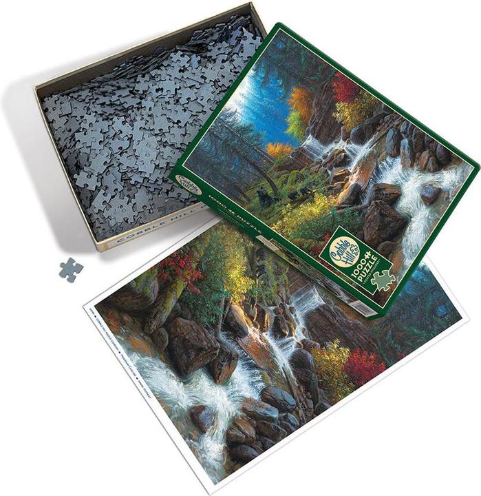 Produktbild Cobble Hill Puzzle 1000 Bergwasserfall (1000 Teile)