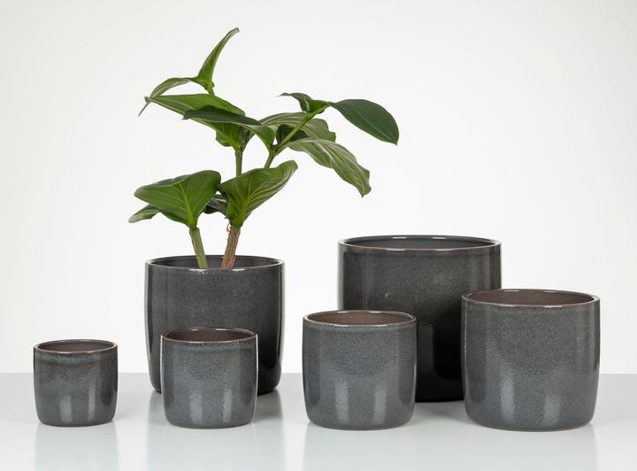 Produktbild Scheurich Blumentopf Solido 17.6 cm, Dunkelgrau (17.60 cm)