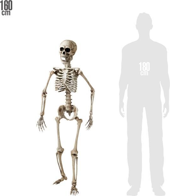 Actual product image Widmann Skeleton life size (1 pcs.)