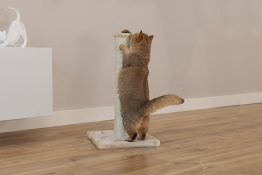 Produktbild Beeztees Katzenmöbel (60 cm, Beige)