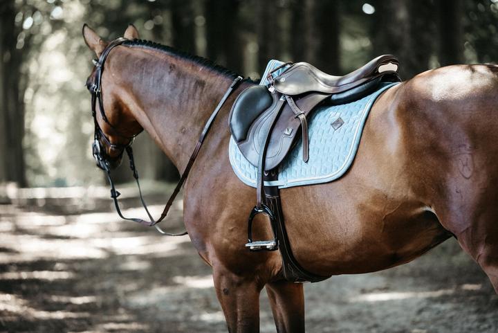 Actual product image Kentucky Horsewear Saddle pad for horses