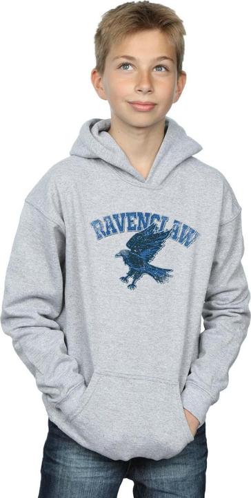 Image du produit - Sweat à capuche - Garçon (140, 146)