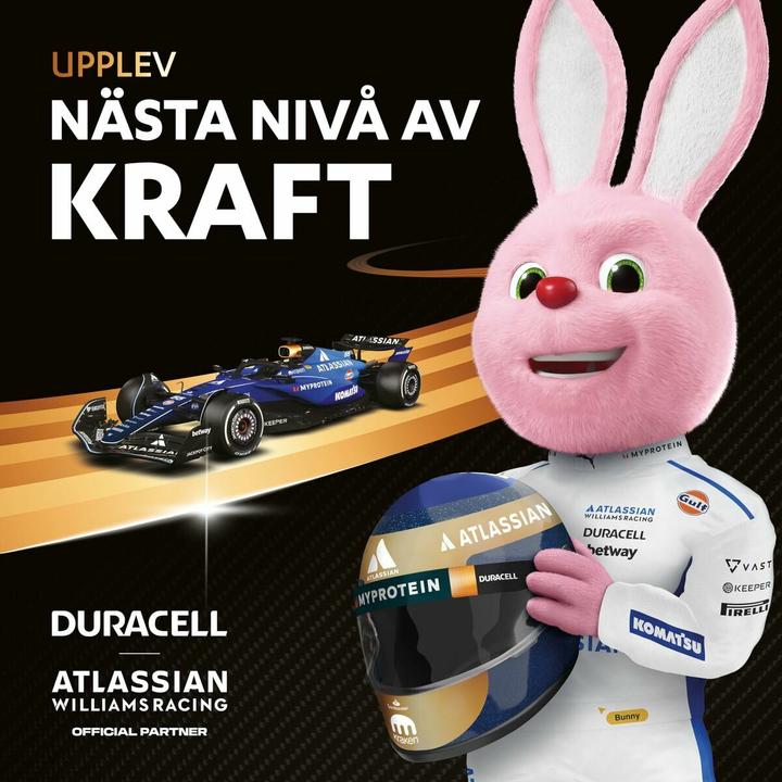 Image du produit Duracell Plus Power Boost 12x LR6 (AA) (12 pcs, AA)