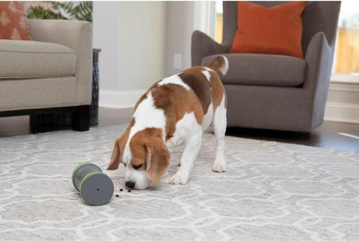 Actual product image PetSafe Kibble Chase™ Roaming Treat Dispenser (Dog activity toy)
