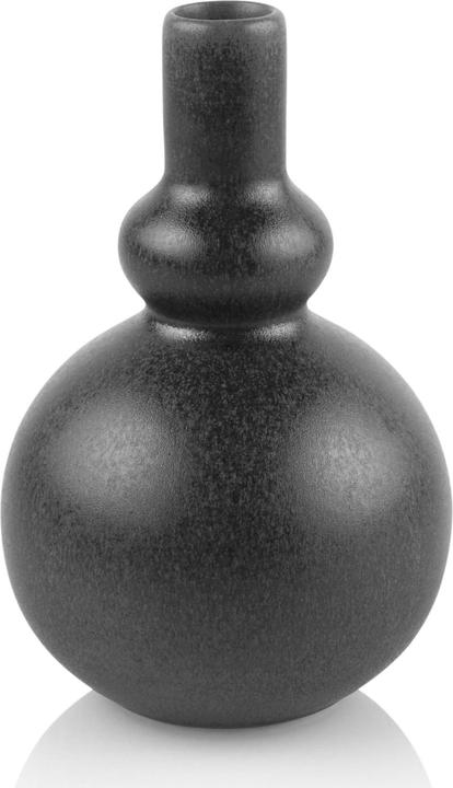 Image du produit ASA Selection fer noir (1x)