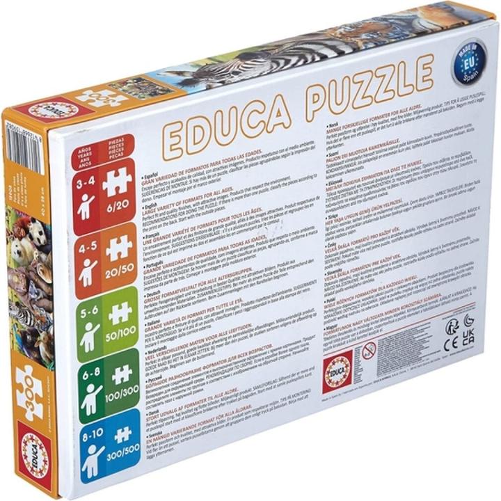 Produktbild Educa It s a class photo 300 Teile ** (300 Teile)