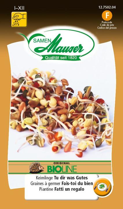 Image du produit Samen Mauser Semences (Germes)