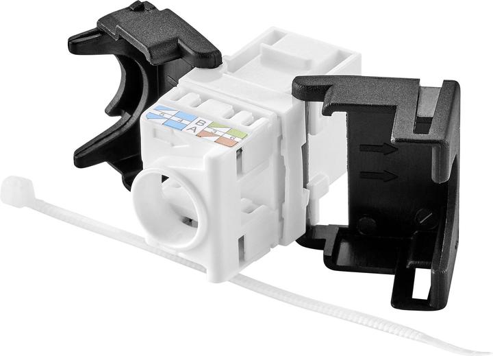 Image du produit Renkforce Module Keystone CAT6A sans outil (Accessoires réseau)