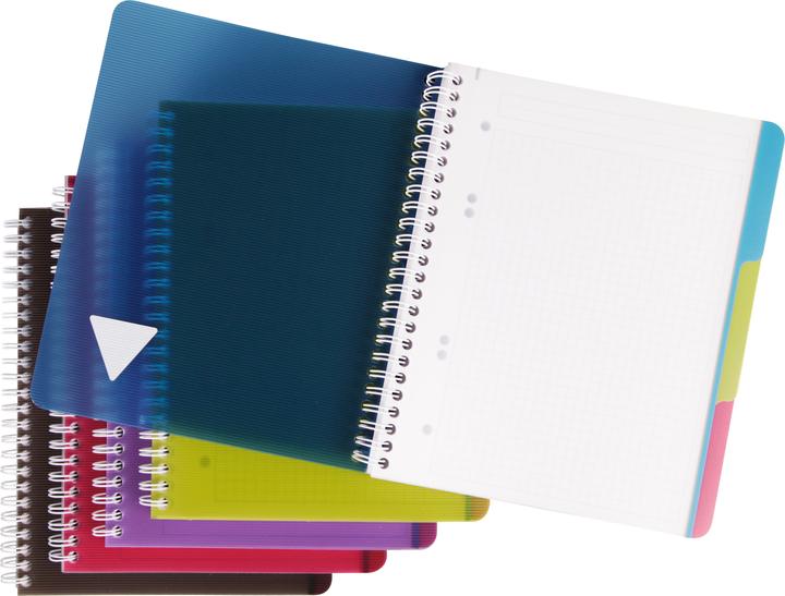 Produktbild Clairefontaine Linicolor Evolutiv Book (A5+, Kariert, Harter Einband)