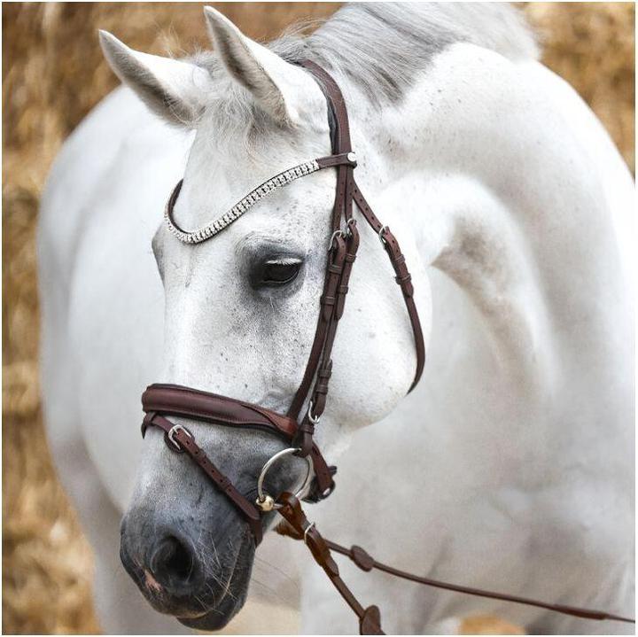 Produktbild Kavalkade trensen reiten everness
