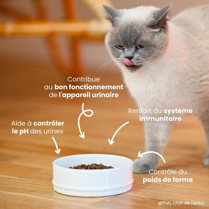 Image du produit Ultra Premium Direct Adult Cat Sterilised - Urinary (Adulte, Senior, 1 pcs, 5000 g)