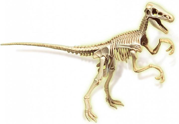 Produktbild Clementoni Ausgrabungsset Velociraptor