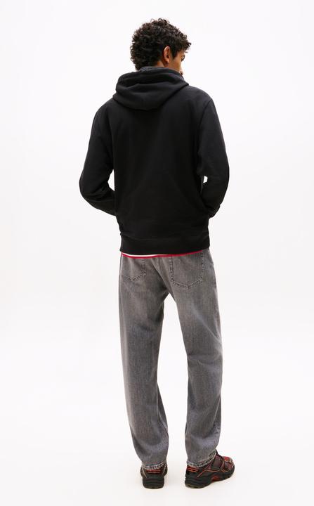Immagine prodotto Tommy Jeans Tjm Reg Rwb Flag Hoodie Ext (L)