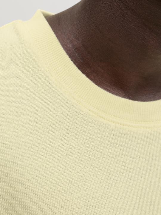 Immagine prodotto Jack & Jones Jorsavona Sleeveless Texture Styd Ss26 (S)