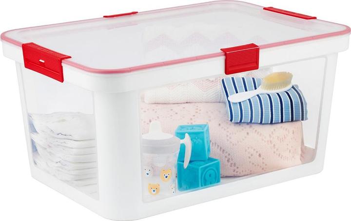 Actual product image Rotho Box ALBRIS (39 cm, 45 l, 1x)