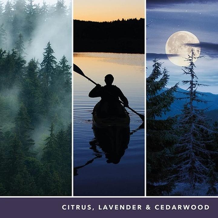 Immagine prodotto Yankee Candle Duftkerze Midsummer's Night Signature Medium Jar