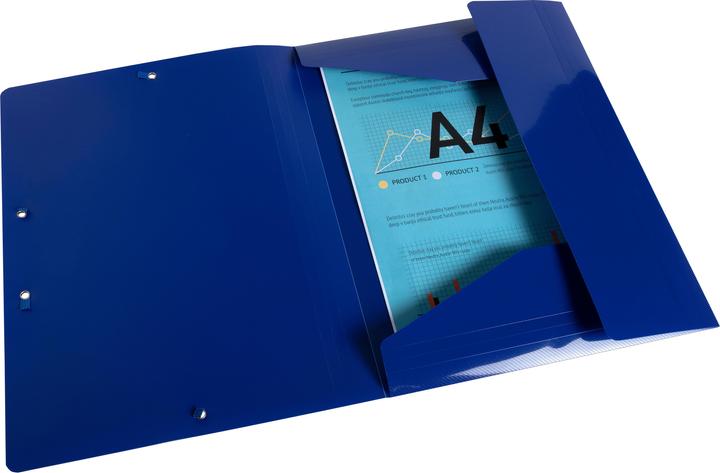 Actual product image Exacompta Folder (A4, 1 x)