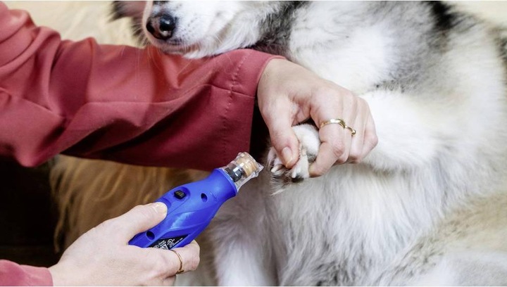 Actual product image Dremel Tierkrallenpflege