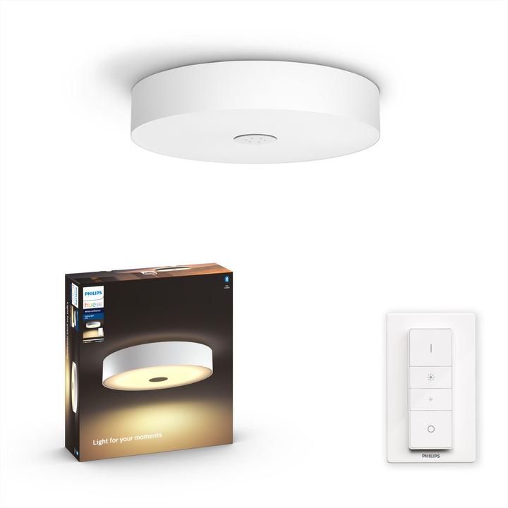 Actual product image Philips Hue Fair Basis BT (3000 lm)