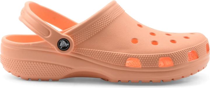 Actual product image Crocs Classic Clog (45)