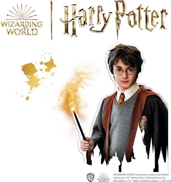 Actual product image Ses Harry Potter - Bügelperlenset (Figuren)