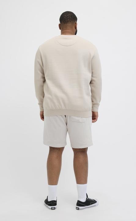 Actual product image Jack & Jones Plus Size Loose Fit Sweat-Shorts Sweat-Shorts (44)