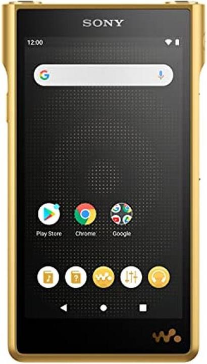 Image du produit Sony NW-WM1ZM2 (256 Go)