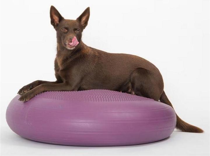 Image du produit Togu Coussin à billes Dynair Extreme