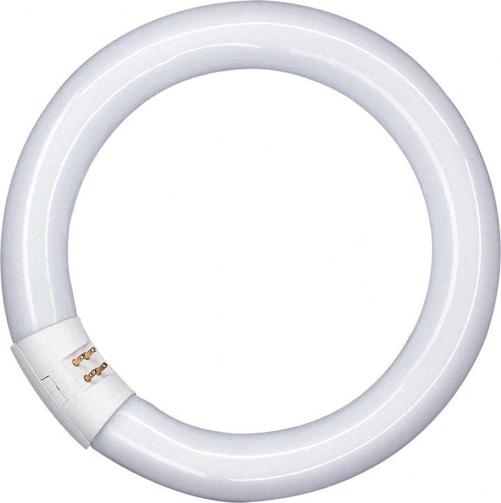Immagine prodotto Osram Tubo fluorescente (G10q, 22 W, 1350 lm, 1 x, G)