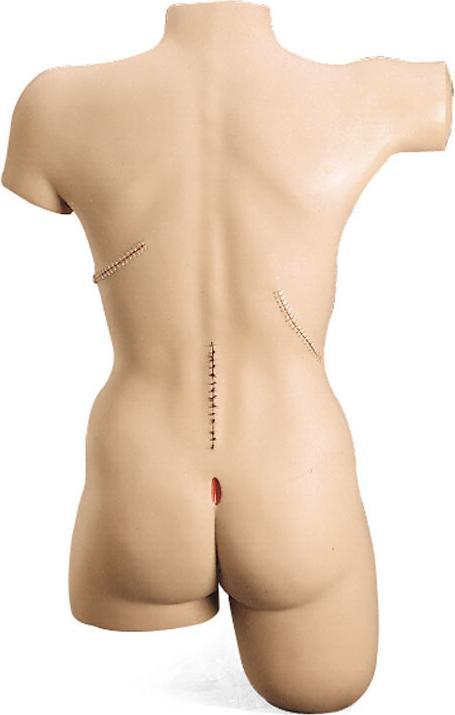 Image du produit Tasmanian Tiger TT Multipurpose Sling Vert olive