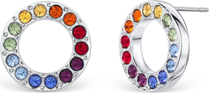 Berk Regenbogen Ohrstecker