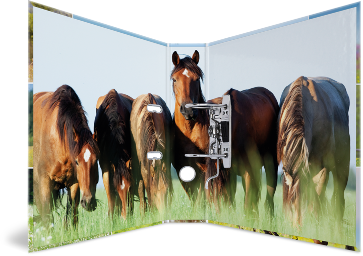 Actual product image Herma A4 folder motif (A4, 70 mm, 1 x)