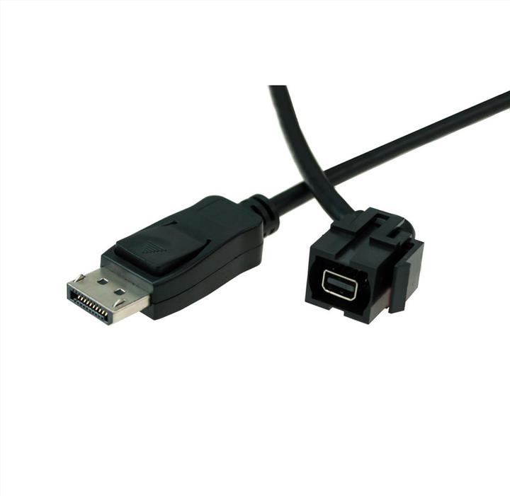 Image du produit Bachmann Keystone Mini DisplayPort/DisplayPort noir (0.50 m, DisplayPort)