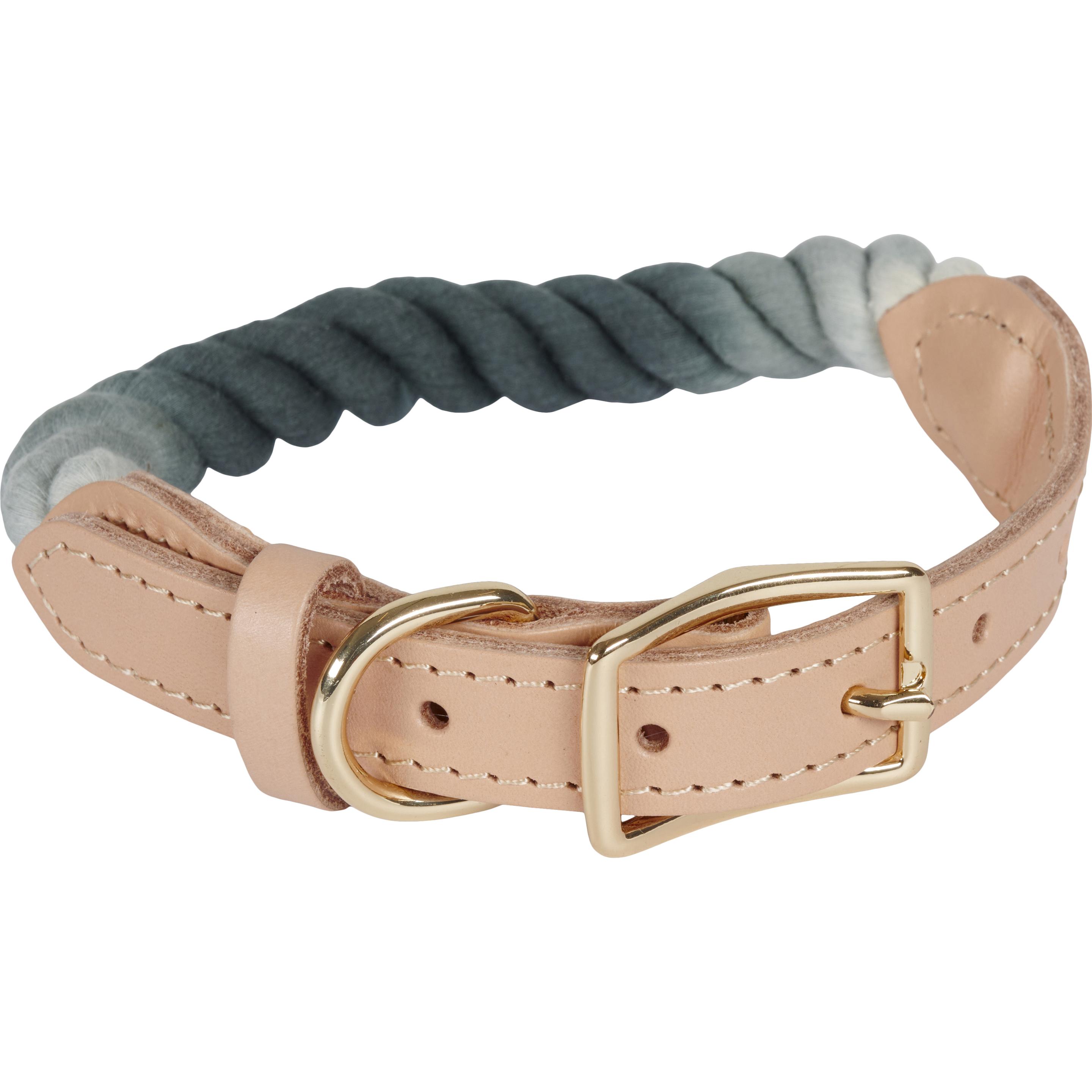 Meilleurs prix pour Companion col multicolore - L : 43-55 cm (Chien), Collier + laisse