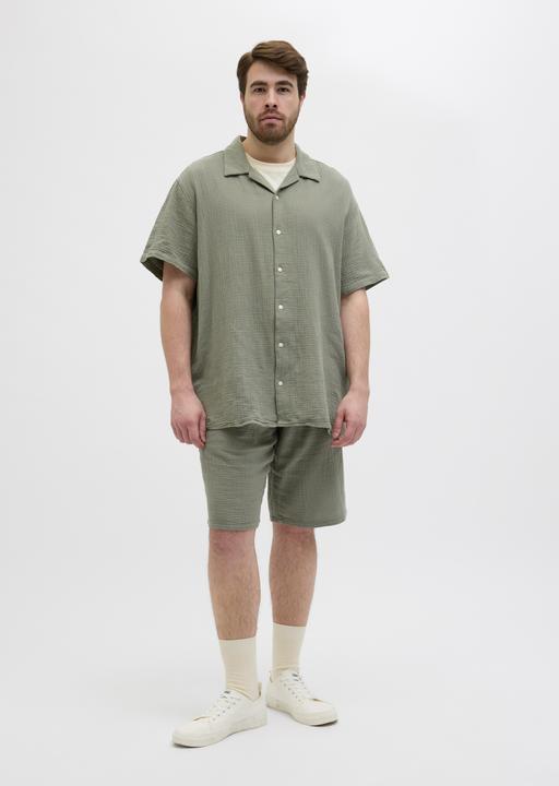 Image du produit Jack & Jones Plus Size Loose Fit Relaxed Fit Shorts Relaxed Fit Shorts (42)