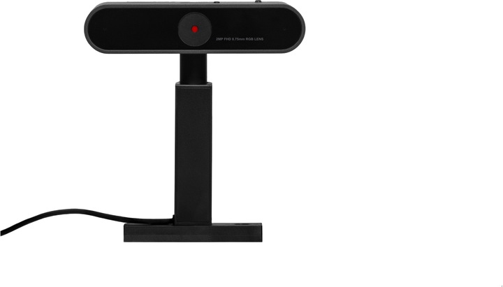 Image du produit Lenovo ThinkVision M50 (2 Mpx)