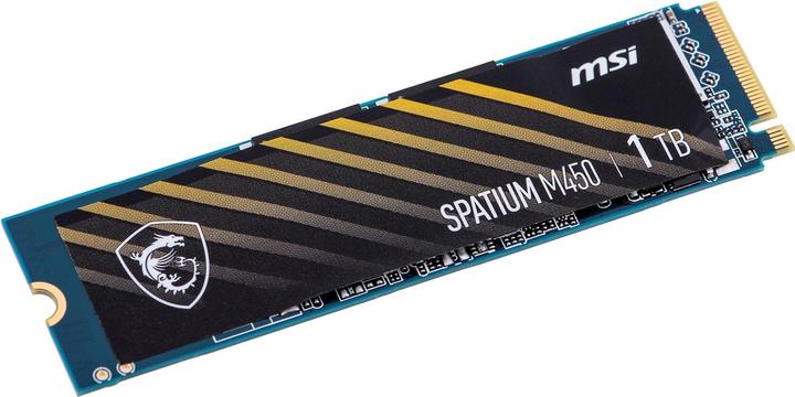 Actual product image MSI Spatium M450 (1000 GB, M.2 2280)
