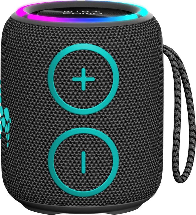 Actual product image Mint Lama Lamabeat 2 (6 h)