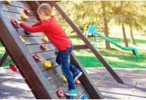 Produktbild Trizand Klettergriffe (Mehrfarbig)