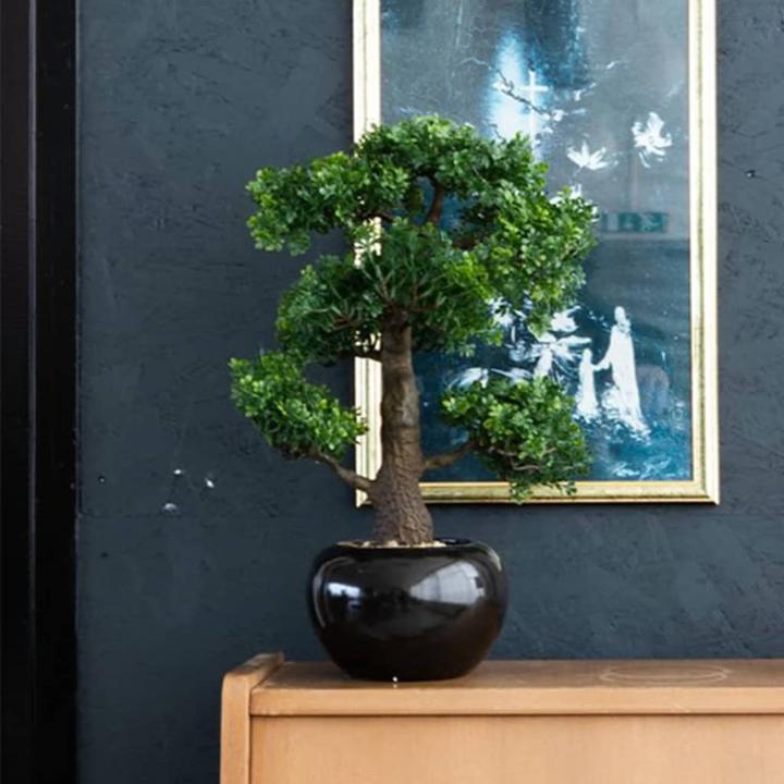 Immagine prodotto Emerald Pianta artificiale (47 cm)