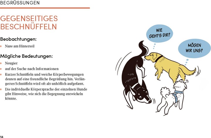 Produktbild Das kleine Buch der Hundesprache (Deutsch, Lili Chin, 2022)