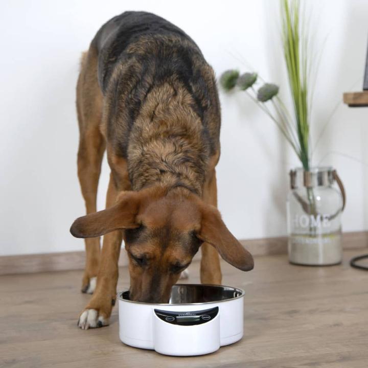 Produktbild Kerbl EYENIMAL Intelligent Pet Bowl XL,mit Waage, 1,8l, weiss (180 cl)