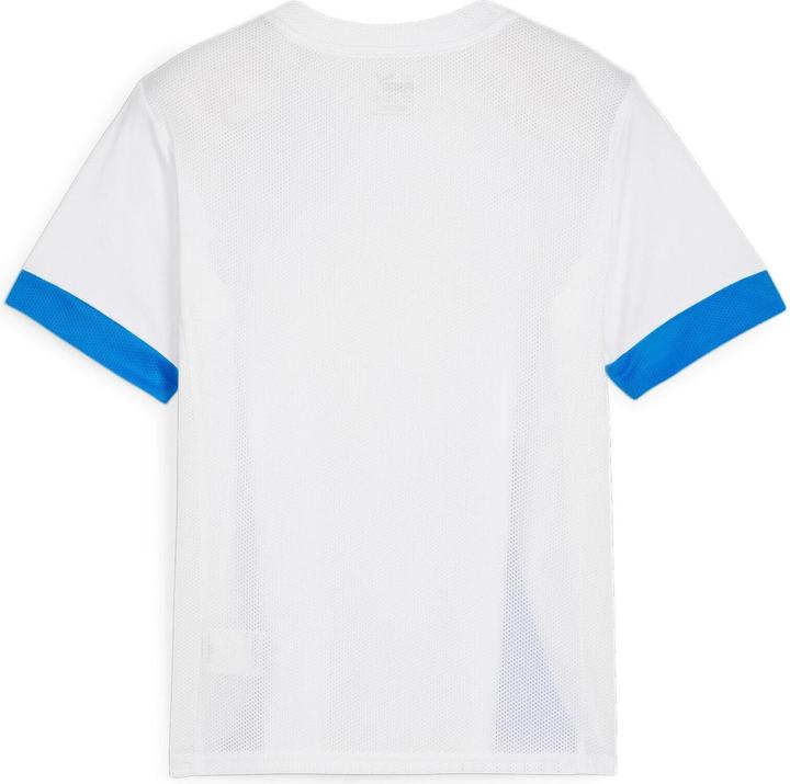 Produktbild Puma teamGOAL Matchday Jersey jr (116)