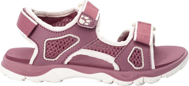 Ash Mauve