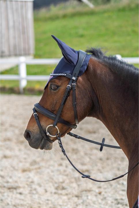 Actual product image Horse Guard Glitter