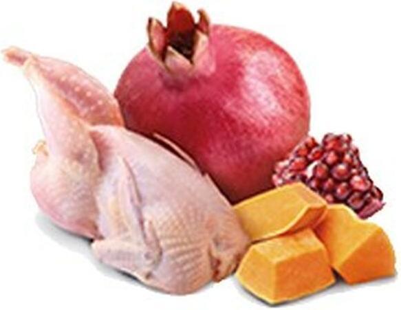 Immagine prodotto Farmina Canine Adult Quaglia e Zucca (285g) (Adulto, 1 pz., 285 g)