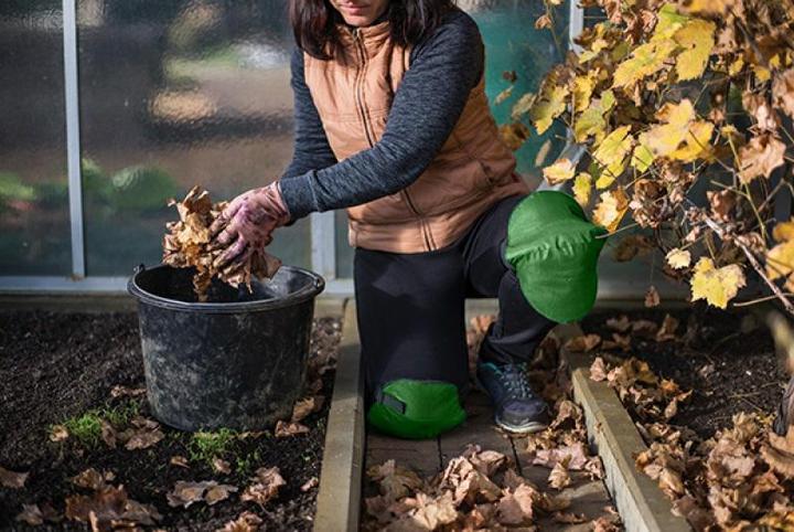 Immagine prodotto Bradas PODN2025